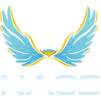 连续两天精,准出击,前天,KaiYun,开云,开云体育入口,开云官网,开云体育APP下载