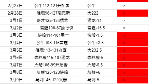 “2025年，阿根廷新星萨尔科有望加盟德甲劲旅勒沃库森”