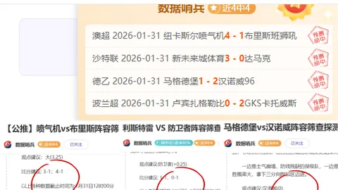 哥斯甲：圣何塞体育对阵泽伦顿赛事前瞻