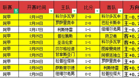 土超关键对决数据分析：四月胜42专家质合解析